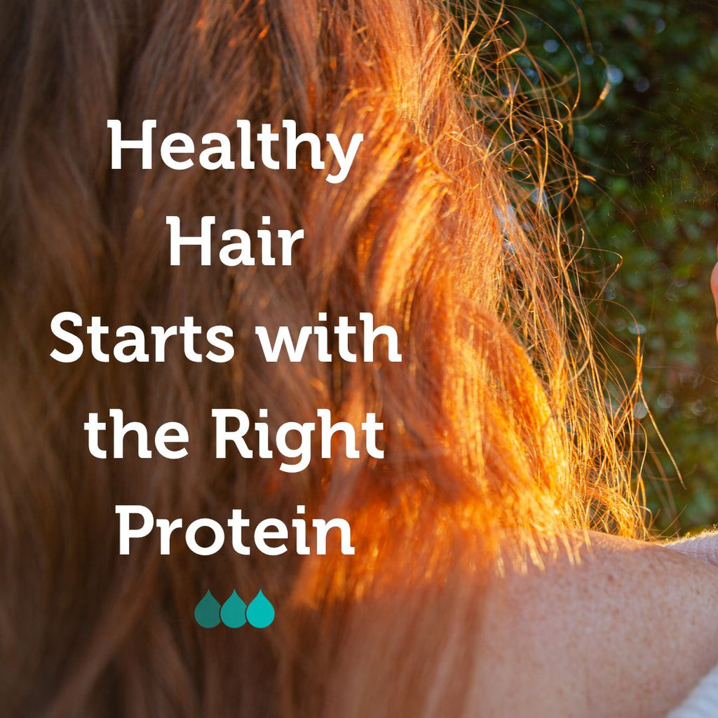 Wondering Which Protein is  Best for Your Hair?